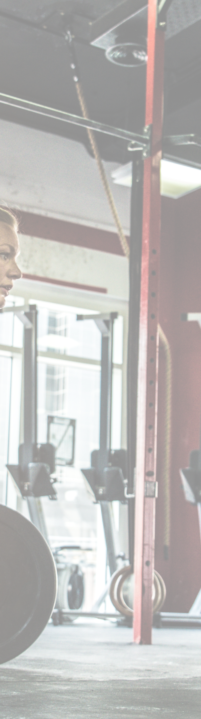 <h2>Fuel Your Body with Clean, Powerful Protein</h2>